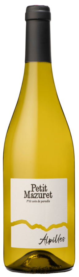 Petit-Mazuret-blanc-Alpilles
