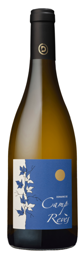 camp-reves-blanc-nouveau