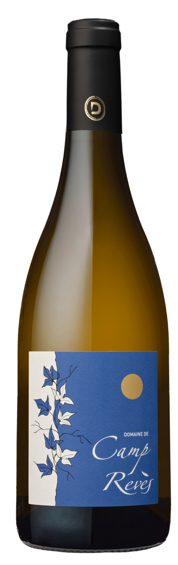 camp-reves-blanc-nouveau